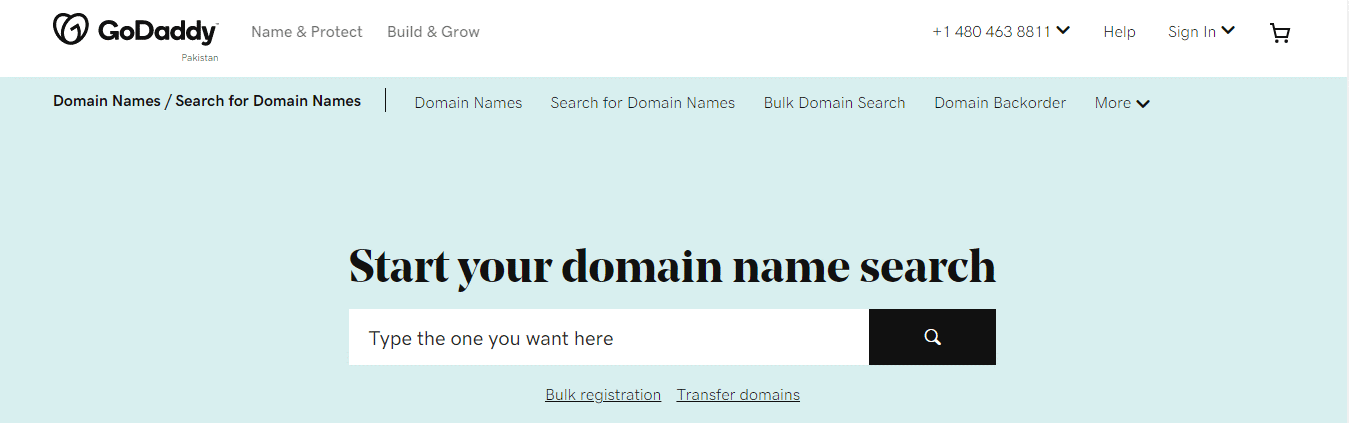 godaddy domain name