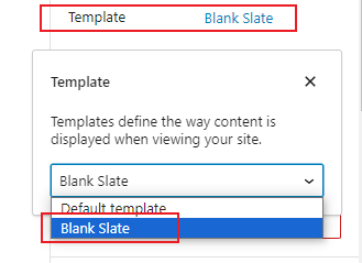 Select blank slate as template